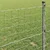 Vidaxl Evropska ograja 0,8 x 10 m PVC prevlečen železo