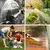 Fleksibilna vrtna cev ARIANA, 30m, zelena Gardebruk