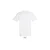 REGENT unisex majica sa kratkim rukavima - Bela, 3XL