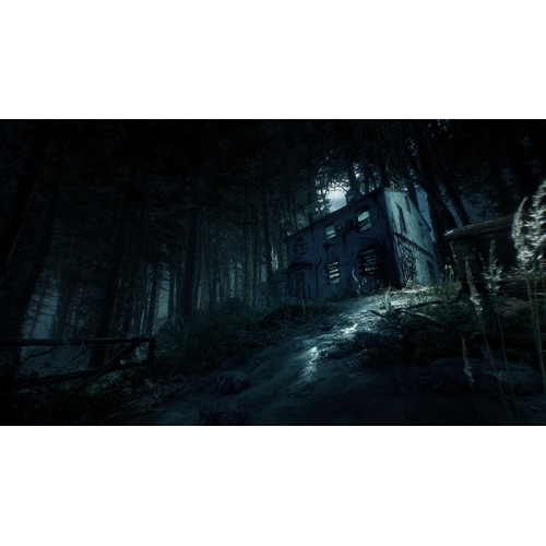 Blair witch top playstation 4