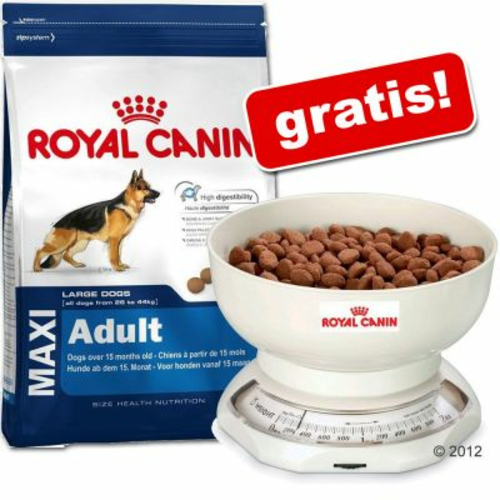 Velika vre a Royal Canin Size Retro vaga za hranu gratis