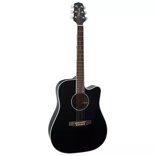 Takamine on sale eg 321