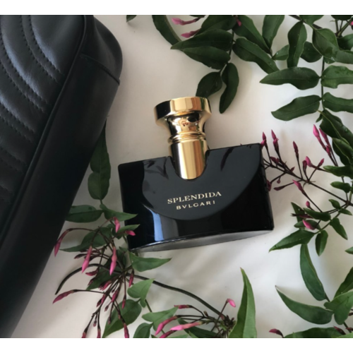 Bvlgari splendida outlet jasmin noir