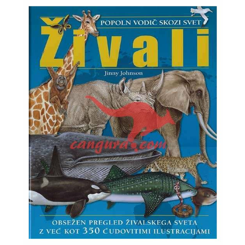 Sheyn Dizelning porno filmlari, barcha cuckolds