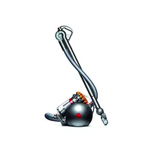 Dyson big ball multifloor sale