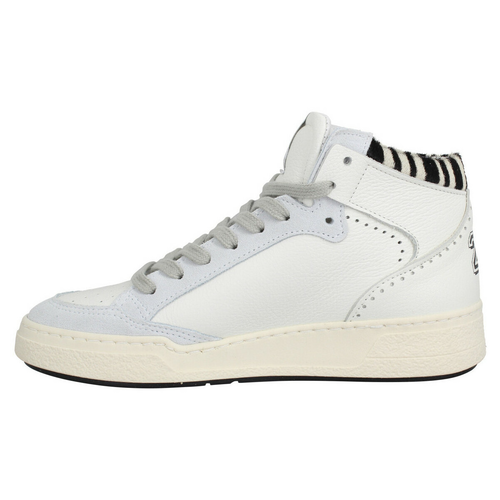 Semerdjian zebre new arrivals