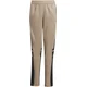 Hlače adidas SQUADRA25 TR PNT Y