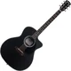 Pasadena PGC-100 Black Akustična kitara Jumbo (Kot novo)