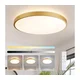 Brilagi - LED prigušiva svetiljka GLASS POOL DOUBLE LED/80W/230V 60 cm zlatna + daljinski upravljač