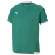PUMA Funkcionalna majica teamLIGA, zelena