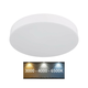 Globo 12384-24W - LED plafonsko svetlo MATTHEW LED/24W/230V belo