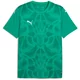 Puma Dres teamULTIMATE Jersey