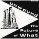 Unwound - The Future Of What (Reissue) (Yellow Coloured) (LP)