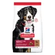 Hills Science Plan Dog Large Breed Mature Piletina 14 kg