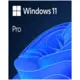 MICROSOFT Windows Pro 11 FPP 64 bit HAV 00164