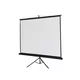 Lexin TD9696M Platno za projektor sa tripodom, 244x244cm, Belo