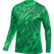 Dres z dolgimi rokavi Nike Gardien V Goalkeeper Jersey Women