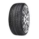 Gripmax Status Pro Winter ( 255/35 R21 98V XL )