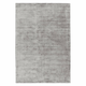 Sivi tepih 170x120 cm Blade - Asiatic Carpets
