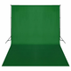 vidaXL Podporni sistem za ozadje 300x300 cm zelene barve