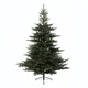 Novogodišnja jelka Grandis fir 210 cm ZELENA