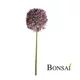 Alium 63 cm vijolične barve - vijolična - 50 do 75 cm