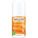 Weleda Roll-on dezodorant 24 h z rakitovcem
