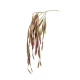 Umetna plezalka Rhipsalis 80cm - 76 do 100 cm