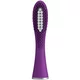 ISSA™ mini Hybrid Enchanted Violet