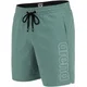 Arena elastic band beach boxer sage xl - uk38