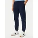 Tommy Hilfiger Spodnji del trenirke Performance MW0MW43445 Mornarsko modra Regular Fit