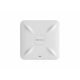 READER Wireless Access Point RG-RAP2200(E)