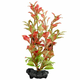 Ludwigia Repens (Red Ludwigia) - rastlina Tetra 23 cm, M