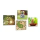 Komplet slik Feng Shui v zeleni izvedbi - 4x 60x60