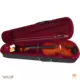 BWING VS1044 violina set 4/4