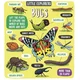 Little Explorers: Bugs