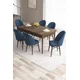 Hanah Home Set Trpezarijski sto i 6 stolica Roz, Plavo-braon