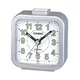 Casio clocks wakeup timers ( TQ-141-8 )