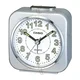 CASIO BUDILNIK TQ-143S-8 Srebrni