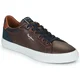 Pepe jeans  KENTON COURT  Kostanjeva