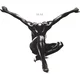 Seal - Seal (Limited Edition) (Clear Coloured) (2 LP)
