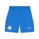 Mens Puma Paraguay 2024 Shorts, Blue, Size XS, Sport