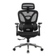 Ergovision Ergonomski pisarniški stol Trek PLUS | Barva: Črna