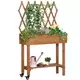 Homestar Dvignjena vrtna greda z mrežo 79x29x130 cm rjava