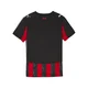 PUMA Funkcionalna majica AC Milan 25/26  rdeča / črna / bela
