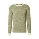 SCOTCH & SODA Pulover večbarvno zelena