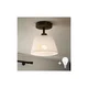 Brilagi - LED plafonski luster ANTHONY 1xE14/60W/230V hrast/orah/bela
