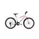 CAPRIOLO MTB DIAVOLO DX 600 bela-pink