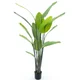 Dekordom 52052 Drvo u saksiji strelitzia palm 187cm -1 - nnt ( 040070 )