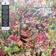 Giant Sand - Returns To Valley Of Rain (LP)